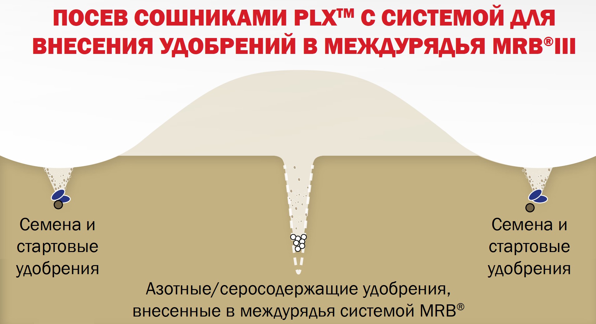 PLX soil profile