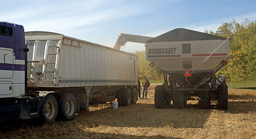 Unloading the 1200 Grain Cart into the truck is a breeze!