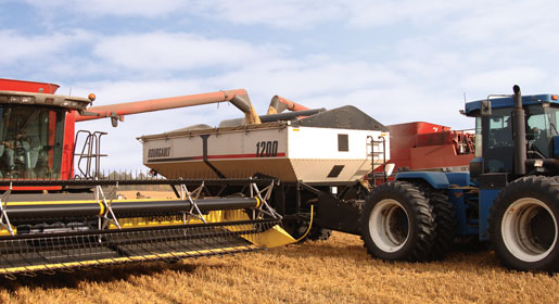 Зерновой бункер-накопитель GC1200 позволит существенно повысить скорость и производительность уборки урожая