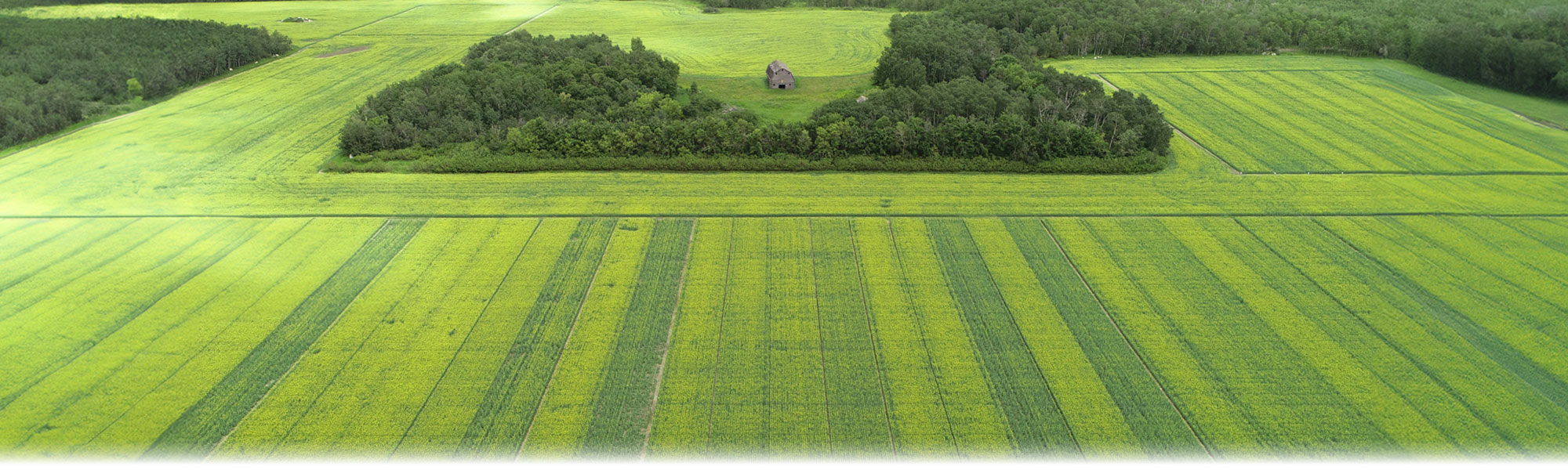 Bourgault Agronomy