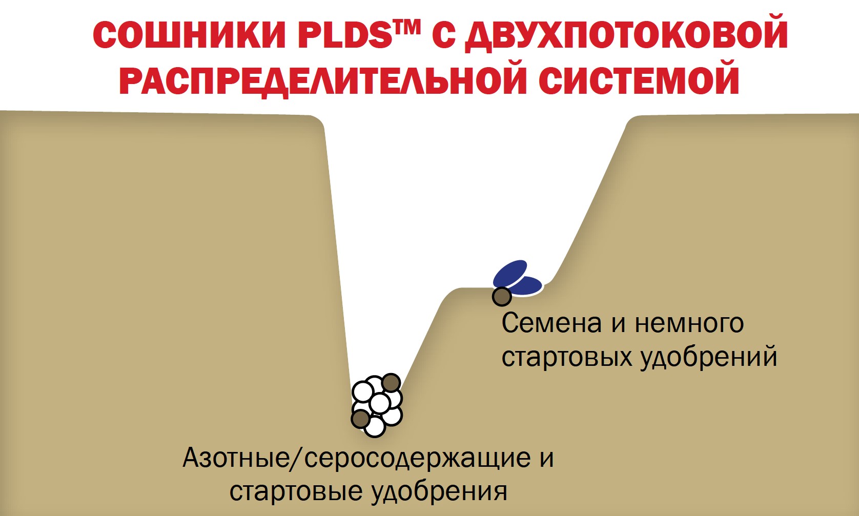 PLDS typical soil profile