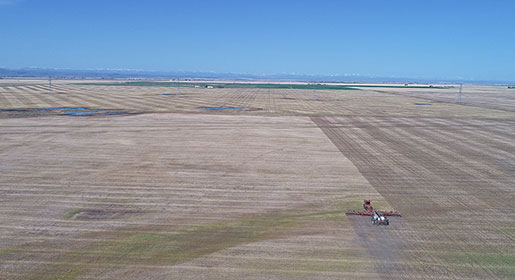 3420 Paralink Hoe Drill seeding in wide field without pushing seeding speed