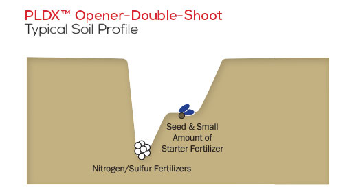 PLDX typical soil profile
