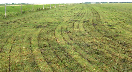 When fertilizing hay or crop land the coulter provides efficient nitrogen placement with minimal disturbance.
