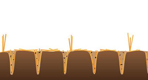 Вертикальная почвообработка представляет собой процесс обработки верхнего слоя почвы с ее минимальным горизонтальным перемещением