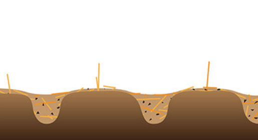 При использовании системы SPS365™, пожнивные остатки эффективно измельчаются и равномерно распределяются в почве перед ее выравниванием и уплотнением